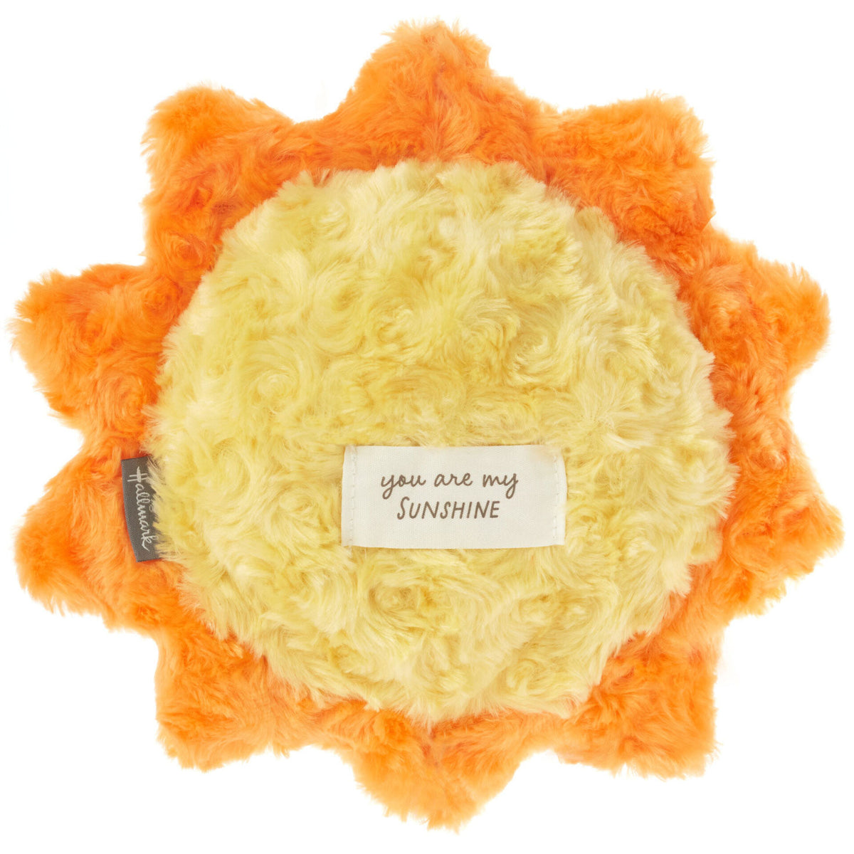 Hallmark recordable sales stuffed animals