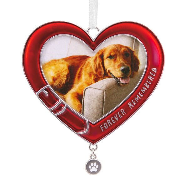 Pet Memorial Metal Photo Frame Hallmark Ornament Steve's Hallmark