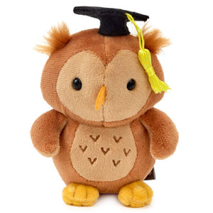 Hallmark Wise Owl Plush Graduation Gift Card Holder, 4.75"