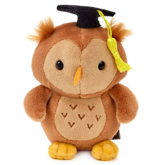 Hallmark Wise Owl Plush Graduation Gift Card Holder,