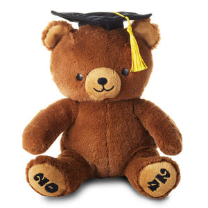 Hallmark2024 Graduation Bear Plush, 8.5"