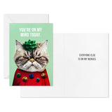 Hallmark Kevin the Cat in Holiday Sweater Boxed Christmas Cards, Pack of 16