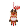 Pull-String Christmas Dancing Ornament with Personalized Name DIY Blank and Special People