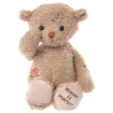 Nobody is Perfect Bear 11" Stuffed Plush
