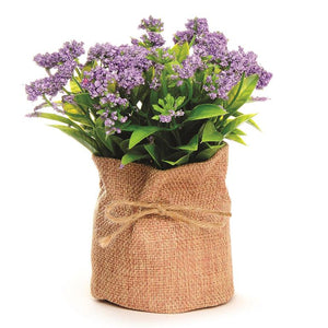 Purple No Petal Flower In Burlap Bag