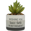 Retired Life Succ-sess Artificial Potted Plant