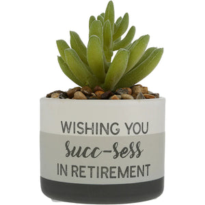 Retired Life Succ-sess Artificial Potted Plant