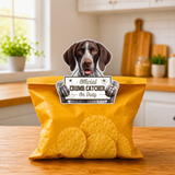 
German Shorthaired Pointer Official Crumb Catcher on Duty Note or Bag Clip and Fridge Magnet
