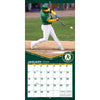2024 Turner 12"x12" Wall Calendar Team MLB Oakland Athletics