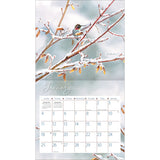 2026 Lang Wall Calendar Hummingbirds by Susan Bourdet