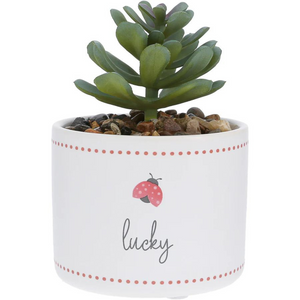4.5" Lucky Artificial Potted Plant