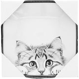 Animal Antics Cat 4.25" Keepsake Dish