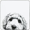 Animal Antics Dog 4.25" Coaster