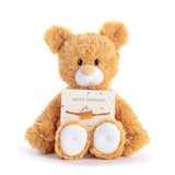 Happy Birthday Orange Bear Stuffed Animal Plush 8"