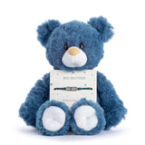 Big Brother Navy Bear Stuffed Animal Plush 8"