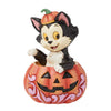 DSTRA Figaro in Jack-O-Lantern Mini