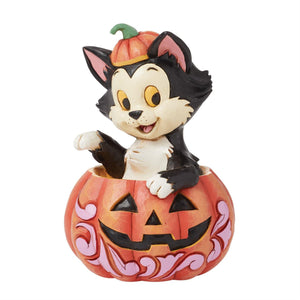 DSTRA Figaro in Jack-O-Lantern Mini