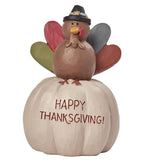 White Pumpkin with Turkey - Happy Thanksgiving
