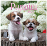 2027 12"x12" 16-Month Wall Calendar Puppies