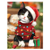 Christmas Kitten in Sweater Fresh Cut Paper Flowers Pop-Up Bouquet