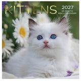 2027 12"x12" 16-Month Wall Calendar Kittens