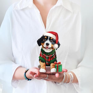 Christmas Puppy in Sweater Fresh Cut Paper Flowers Pop-Up Bouquet