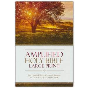 Amplified Large-Print Bible, hardcover