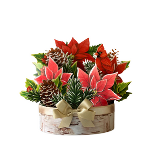 Birch Poinsettia Fresh Cut Flowers Paper Pop-Up Bouquet