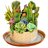 Cactus Garden Fresh Cut Flowers Paper Pop-Up Bouquet