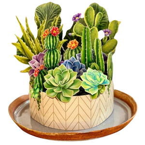 Cactus Garden Fresh Cut Flowers Paper Pop-Up Bouquet