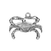 Follow the Crab Token Charm