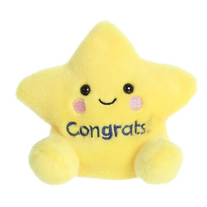 Palm Pals™ - 5" Galileo Congrats Star