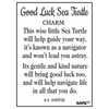Good Luck Sea Turtle Token Charm