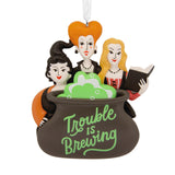 Hallmark Disney Hocus Pocus Sanderson Sisters Hallmark Ornament