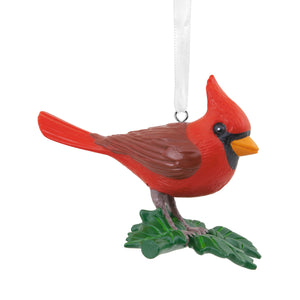 Hallmark Cardinal Bird Hallmark Ornament