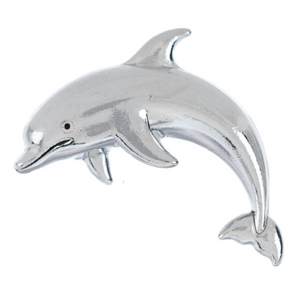 Lucky Little Dolphin Token Charm