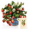 Mini Strawberry Blossom Fresh Cut Paper Flowers Pop-Up Bouquet