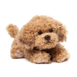 Labradoodle Dog Stuffed Animal Plush 8"