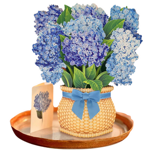 Nantucket Hydrangea Fresh Cut Flowers Paper Pop-Up Bouquet