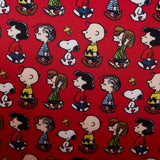 Peanuts Charlie Brown Vintage Lunchbox Crossbody Bag (Inside)