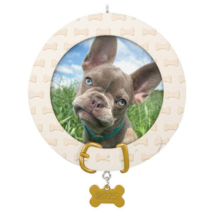 Hallmark 2025 Faithful Friend Photo Frame Ornament