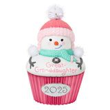 Hallmark 2025 Great-Granddaughter Cupcake Ornament