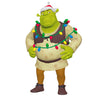 Hallmark 2025 Shrek And To All a Gross Night Ornament