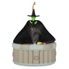 Hallmark 2025 The Wizard of Oz™ I'm Melting! I'm Melting! Ornament With Light, Sound and Motion