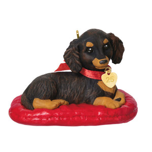 Hallmark 2025 Puppy Love Long-Haired Dachshund Ornament