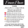 Rose Forever Flower Token Charm