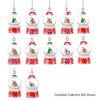 'Tis the Season Mini Snowglobe Personalized Name Ornament Blank DIY, Family and Holiday Greetings