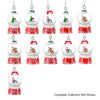 'Tis the Season Mini Snowglobe Personalized Name Ornament Blank DIY, Family and Holiday Greetings