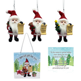 Merry & Bright Mini Gift Bag for Santa's Nice List Personalized Name Ornament