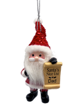 Santa's Nice List Personalized Name Ornament Blank DIY, Family and Holiday Greetings